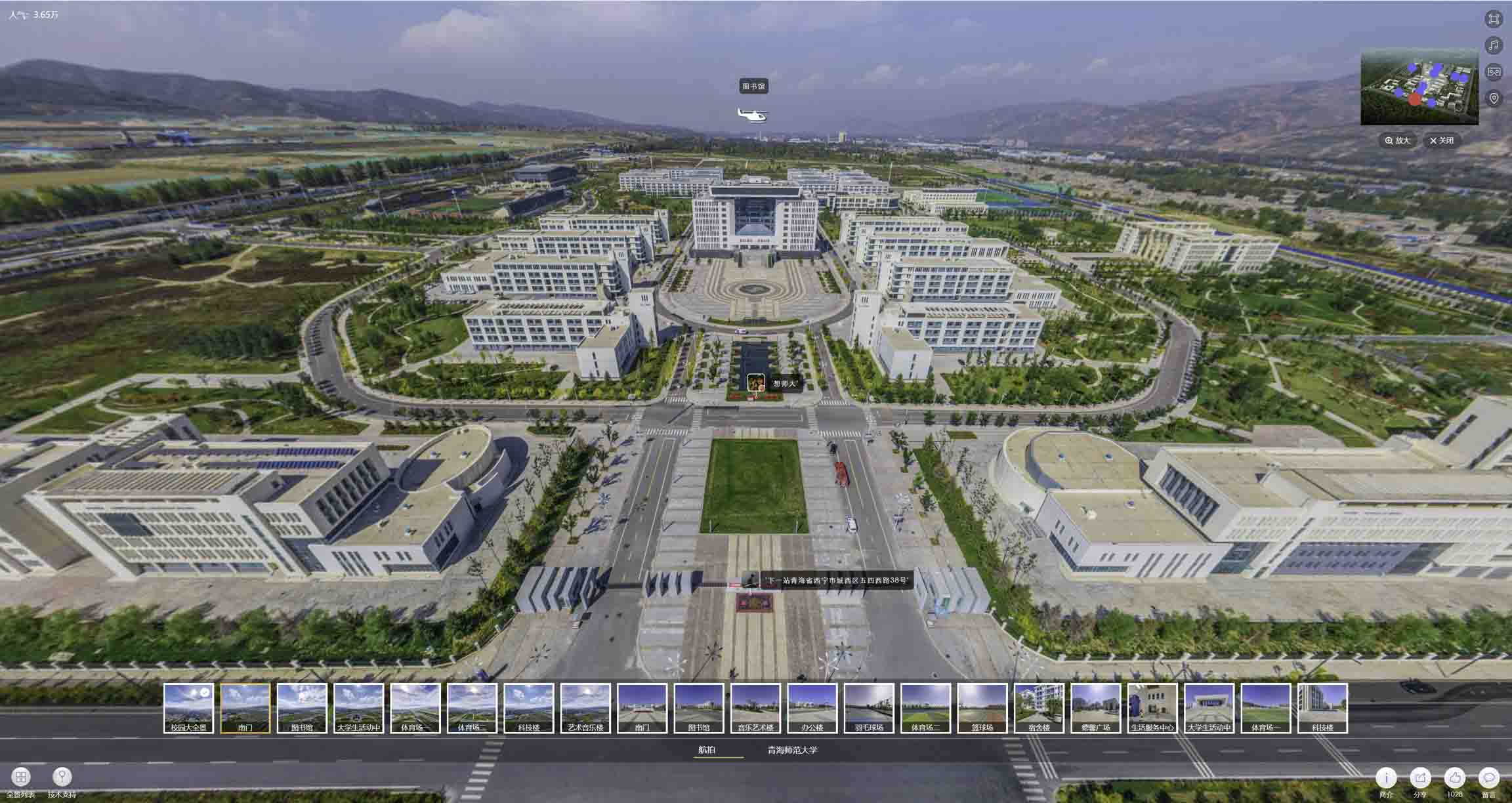 泰丰办事处油菜花-惊艳半生的花海仙境